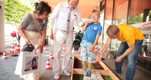 Agentur Tigertatze - Event Modul - Vertrauensparcours - 02